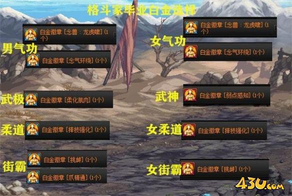 dnf全职业白金徽章选择攻略 dnf全职业白金徽章推荐