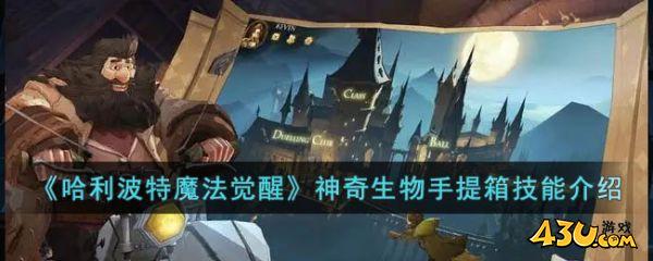 哈利波特魔法觉醒