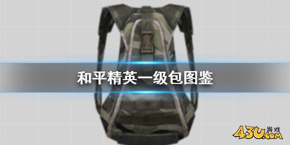 43u游戏