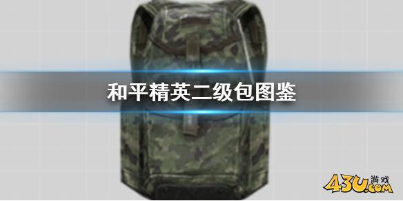 43u游戏