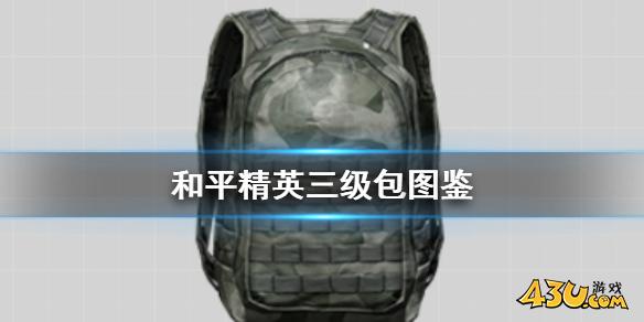43u游戏