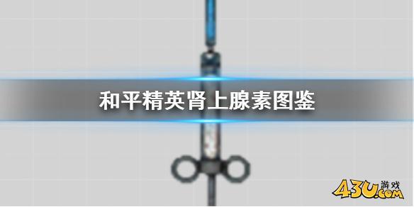 43u游戏