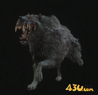 43u游戏