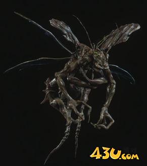 43u游戏