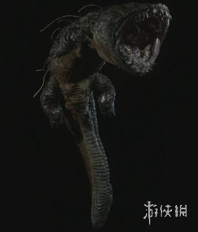 43u