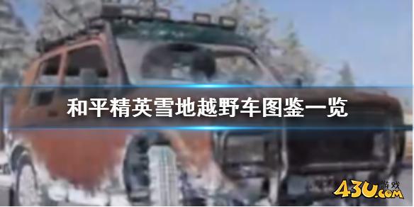 43u游戏攻略