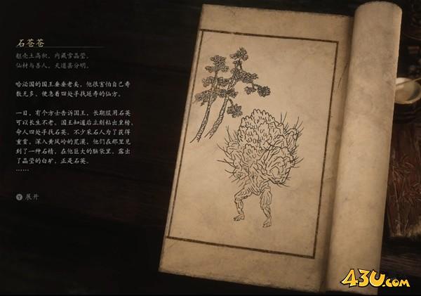 43u游戏攻略