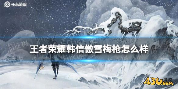 43u游戏攻略