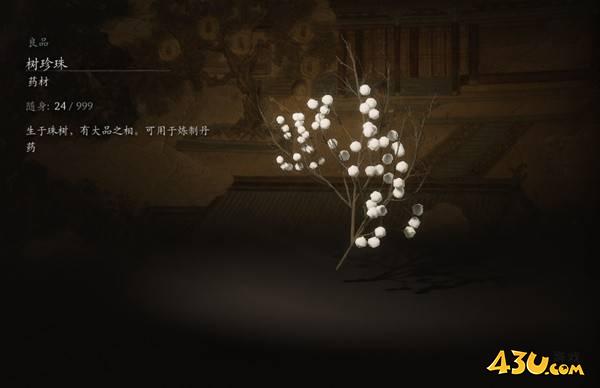 43u游戏攻略