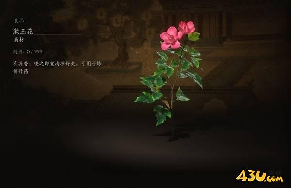 43u游戏攻略