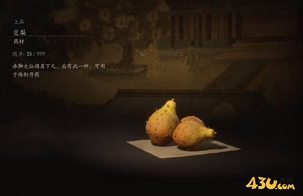 43u游戏攻略