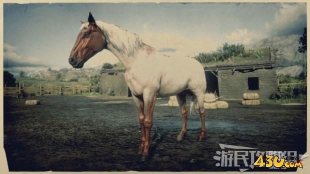 43u游戏攻略
