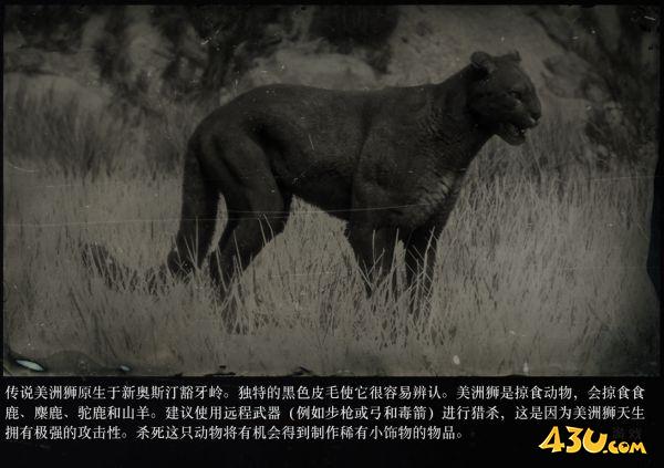 43u游戏攻略