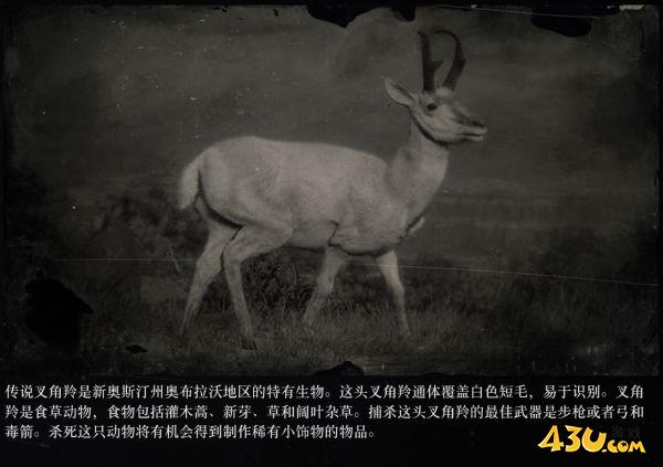 43u游戏攻略