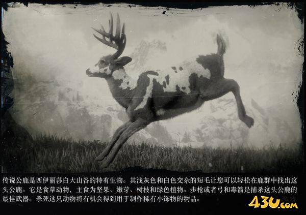 43u游戏攻略