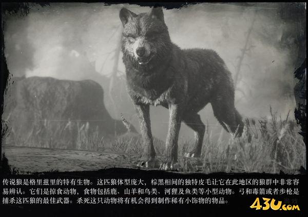 43u游戏攻略