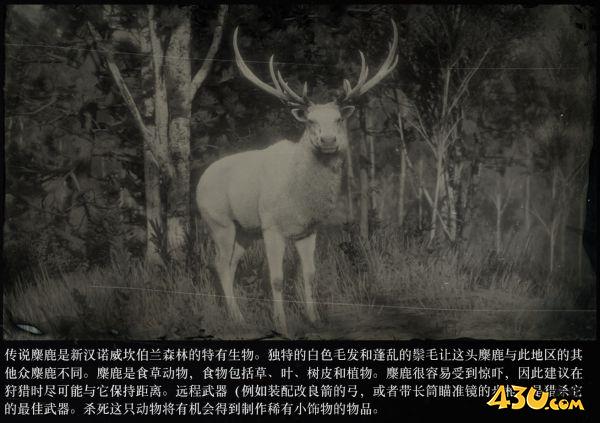 43u游戏攻略