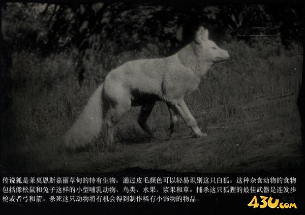 43u游戏攻略