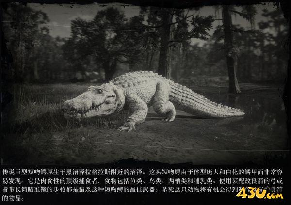 43u游戏攻略
