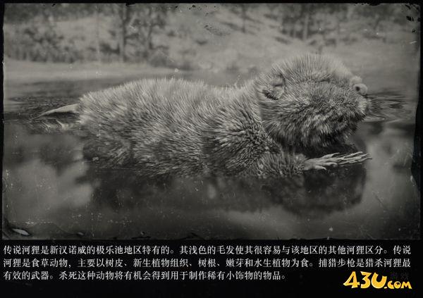 43u游戏攻略