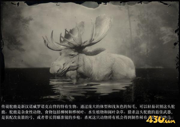 43u游戏攻略