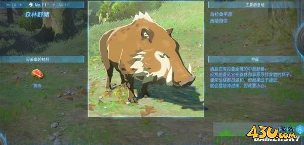 43u游戏攻略