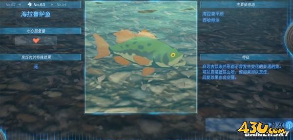 43u游戏攻略