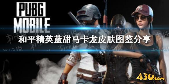和平精英蓝甜马卡龙皮肤怎么样 和平精英蓝甜马卡龙皮肤图鉴分享