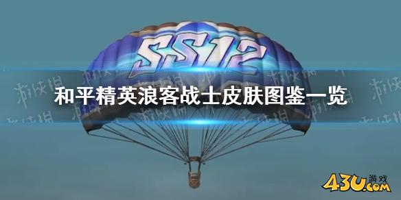和平精英浪客战士皮肤怎么样 和平精英浪客战士皮肤图鉴一览