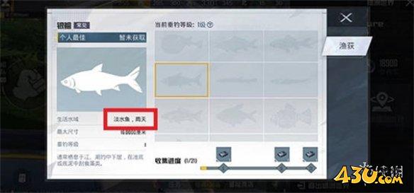 43u游戏攻略