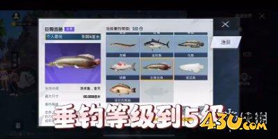 43u游戏攻略