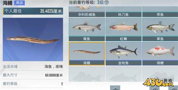 43u游戏攻略