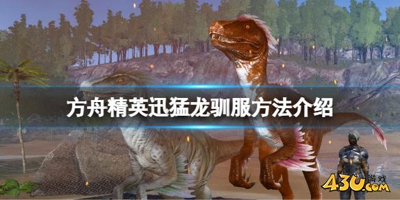 方舟生存进化精英迅猛龙可以驯服吗 精英迅猛龙驯服方法介绍