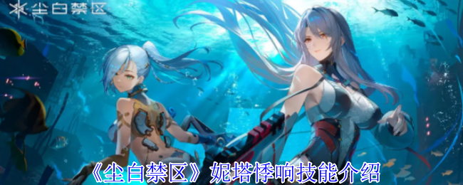 尘白禁区妮塔悸响有什么技能 妮塔悸响技能介绍