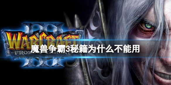 魔兽争霸3秘籍使用不了原因介绍