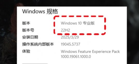 光与影33号远征队黑屏解决方法