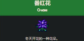 星露谷物语番红花怎么获得