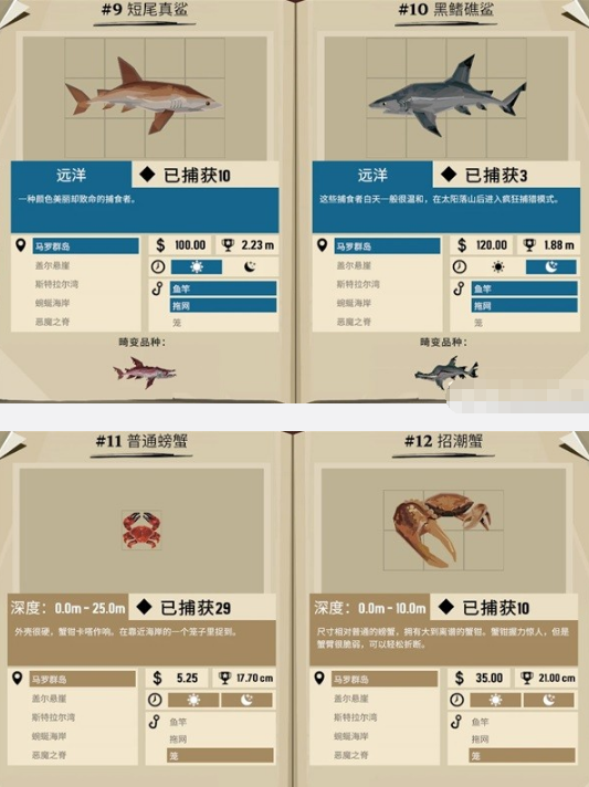 渔帆暗涌罗马群岛都有什么鱼 罗马群岛鱼类图鉴