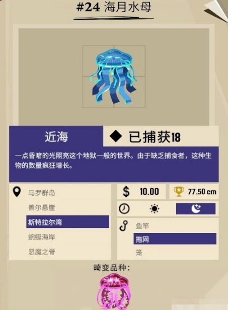 渔帆暗涌斯特拉尔湾都有什么鱼 斯特拉尔湾鱼类图鉴