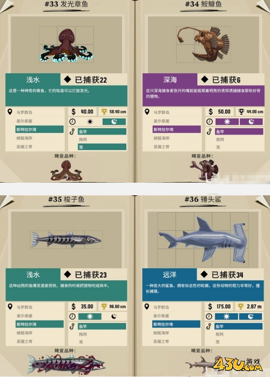 渔帆暗涌斯特拉尔湾都有什么鱼 斯特拉尔湾鱼类图鉴