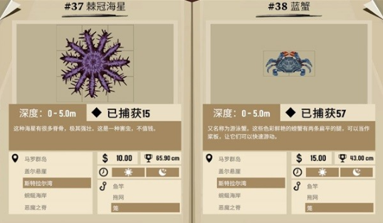 渔帆暗涌斯特拉尔湾都有什么鱼 斯特拉尔湾鱼类图鉴