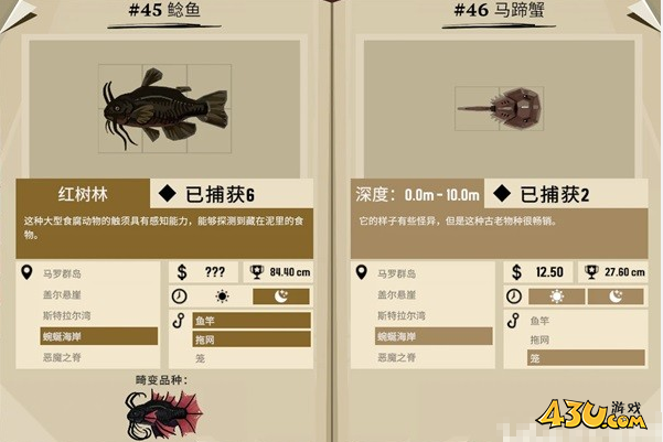 渔帆暗涌蜿蜒海湾都有什么鱼 蜿蜒海湾鱼类图鉴