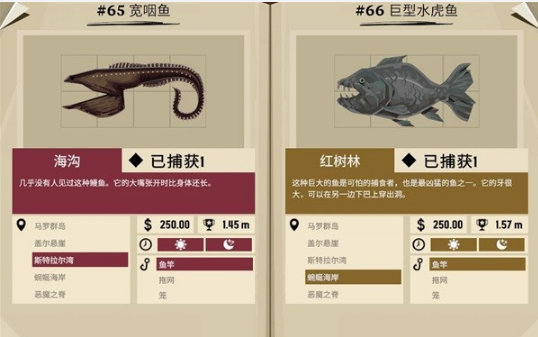 渔帆暗涌外来物种都有什么鱼 外来物种鱼类图鉴