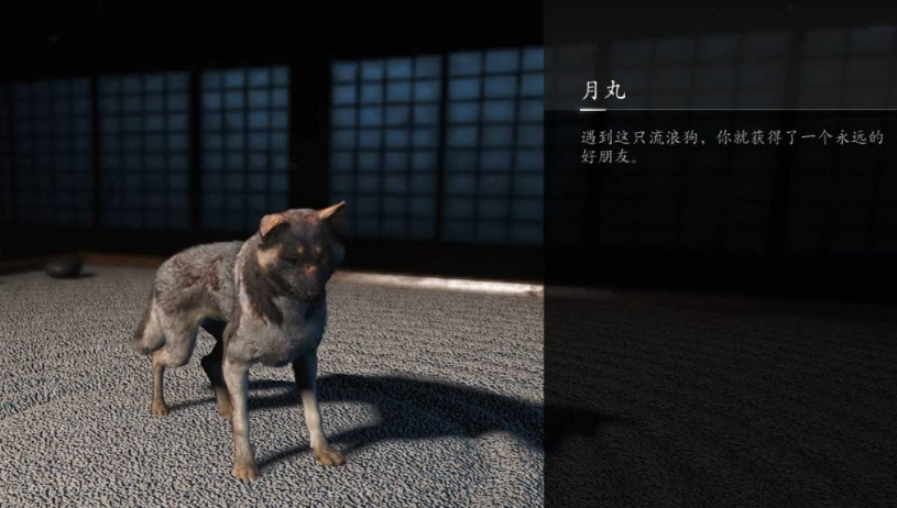 刺客信条·影忠犬伸冤支线怎么做 刺客信条·影支线任务攻略