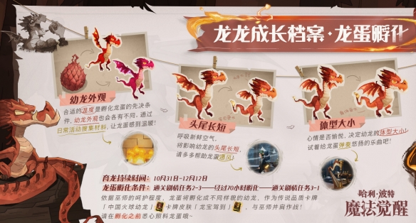 哈利波特魔法觉醒龙蛋是什么 龙蛋怎么孵化