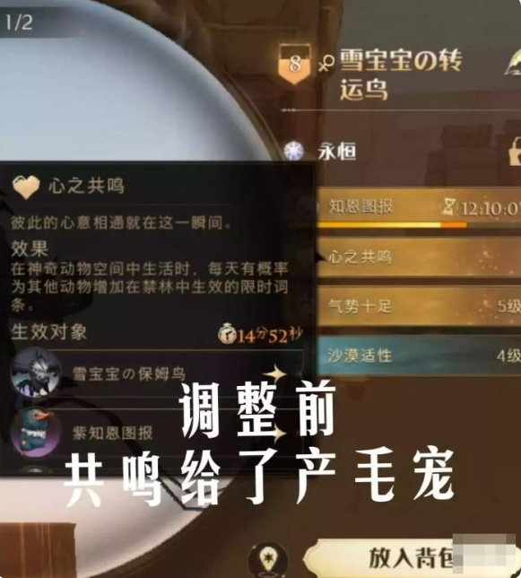 哈利波特魔法觉醒宠物如何共鸣 宠物共鸣指南