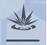 尘白禁区妮塔悸响怎么用 妮塔悸响技能介绍