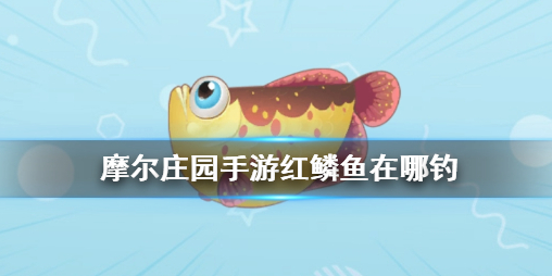 摩尔庄园红磷鱼在哪里 红磷鱼钓取点位分享