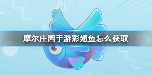 摩尔庄园彩翅鱼在哪 彩翅鱼获取点位分享
