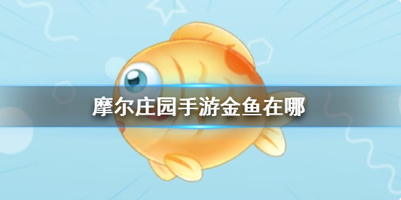 摩尔庄园金鱼在哪 金鱼获取点位分享